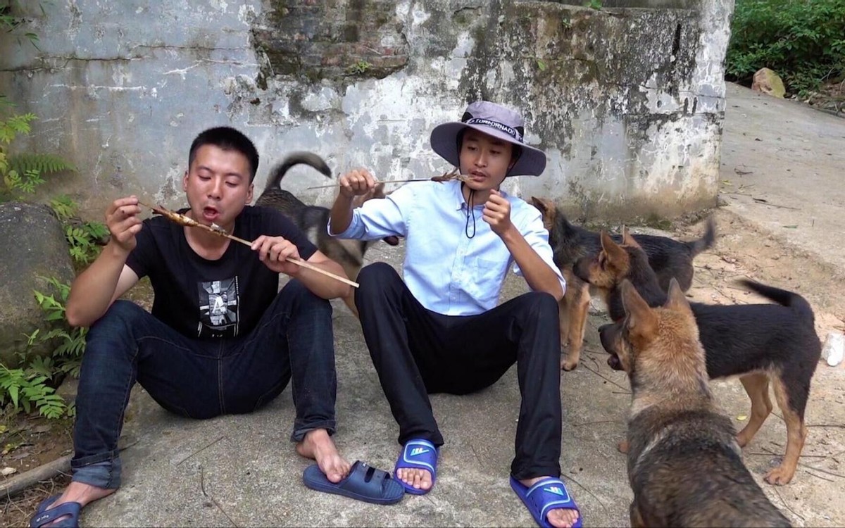 未来5年的农村行业,未来农村最有前景的十大行业