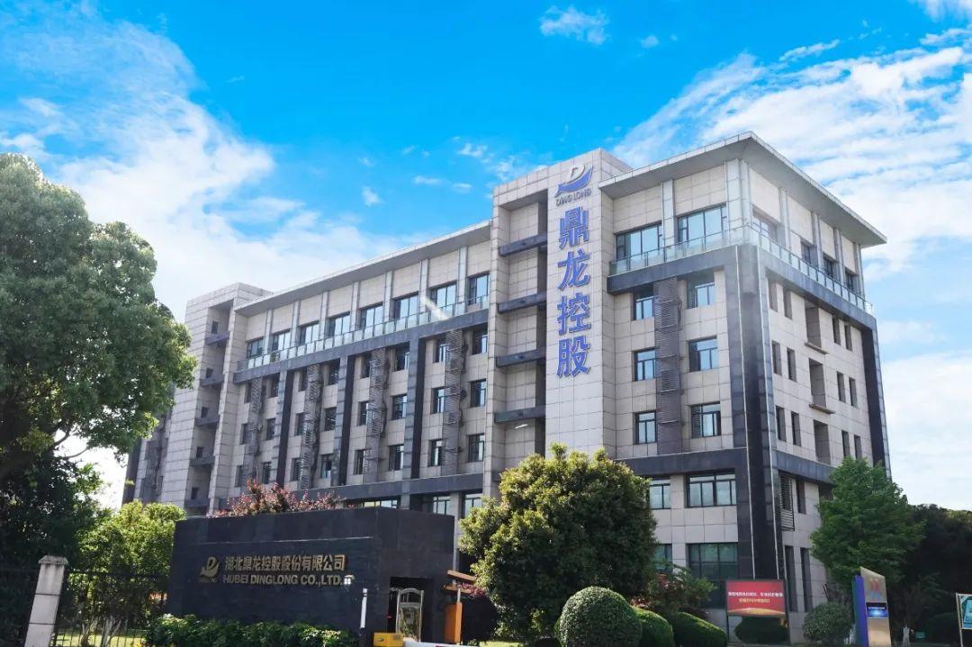 鼎龙控股半导体,鼎龙控股核心价值