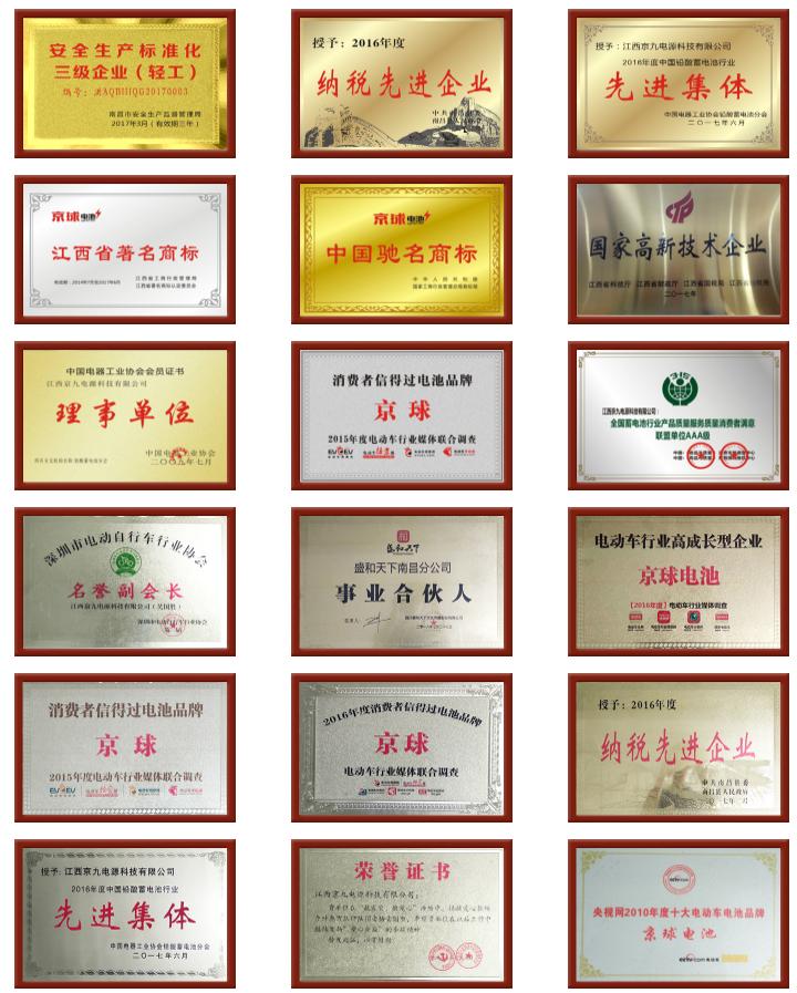 京球电池批发厂家直销,京球电池60伏价格表