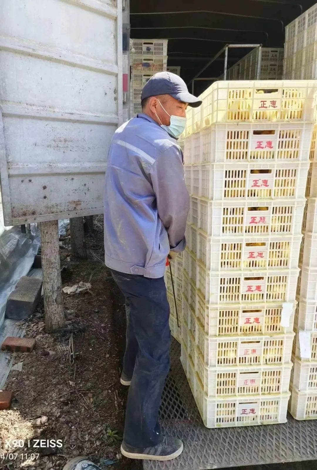 肉鸭养殖乡村振兴,肉鸭养殖与乡村振兴