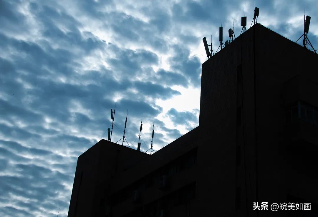 安徽大学好看的风景,高校最美秋景