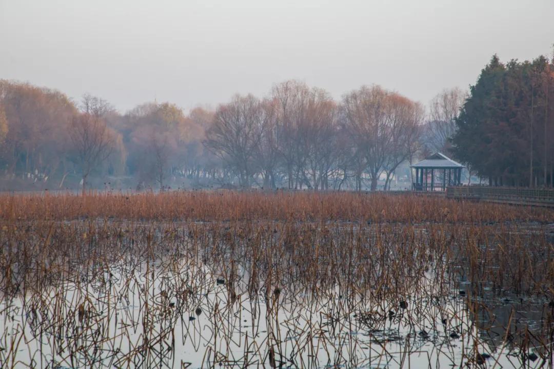 扬州冬天冷吗有暖气吗,扬州冬天气温怎么样