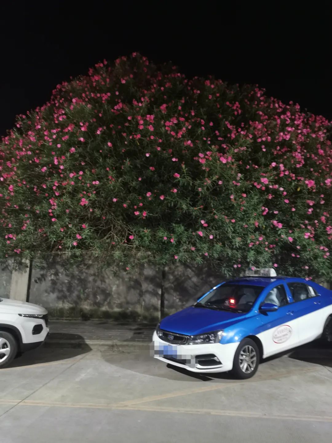 9月，谢谢你们送来的秋天