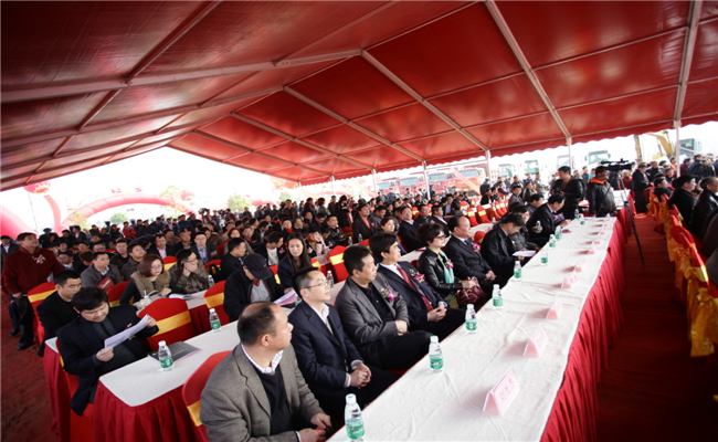 定制婚礼策划公司,青岛高端婚礼策划公司