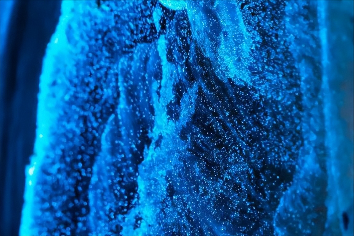 天津东疆港蓝眼泪出现时间,游玩天津东疆港攻略