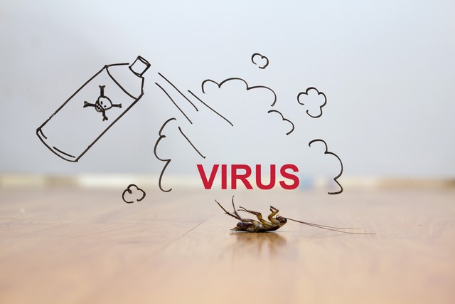 触杀胃毒性杀虫剂有哪些,触杀内吸杀虫剂