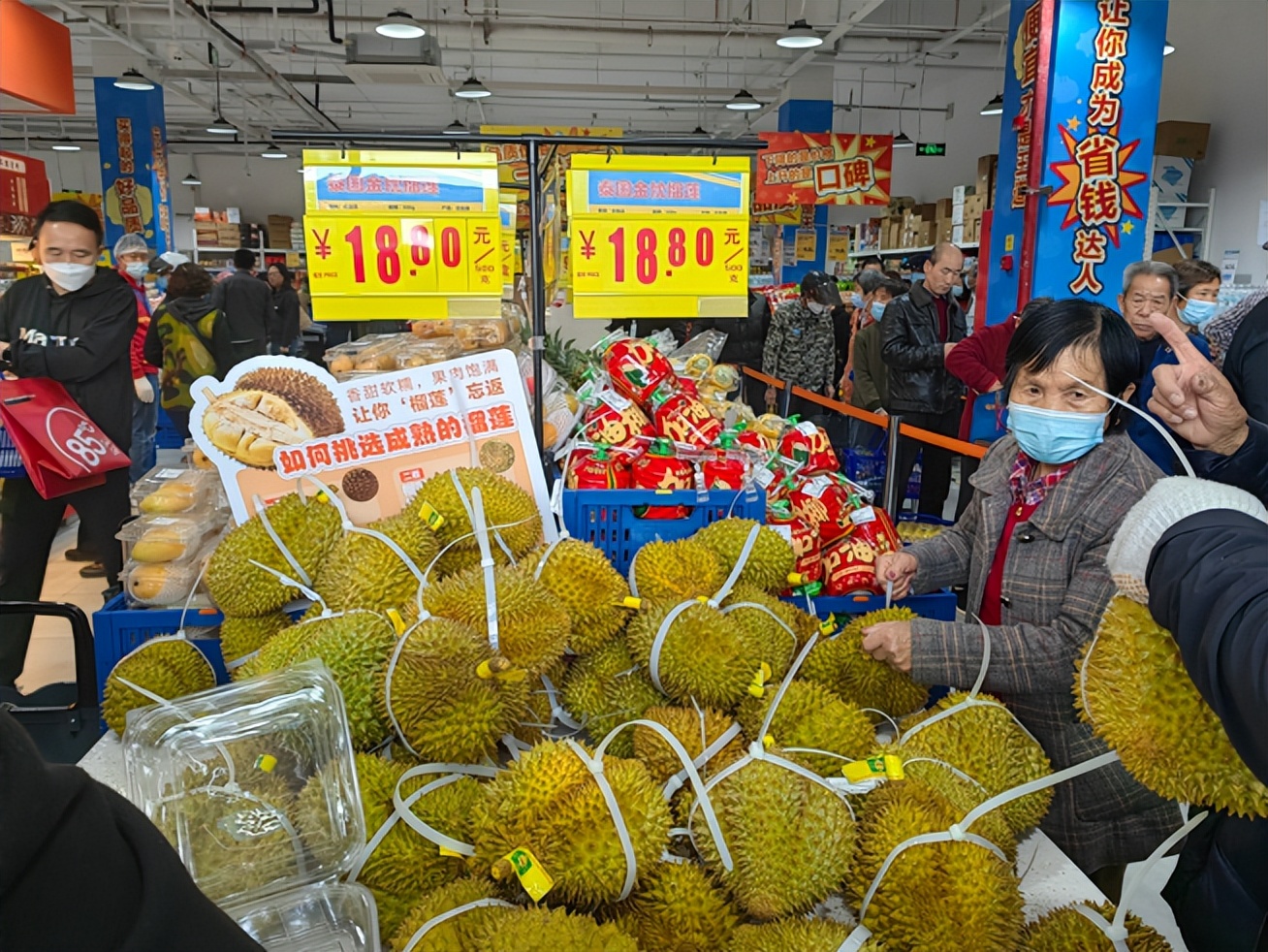 盒马奥莱首次入驻枫泾，古镇旁多了个“春游补给站”