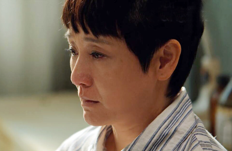 花开半夏实力派演员有哪些人,风吹半夏演员今昔对比盘点