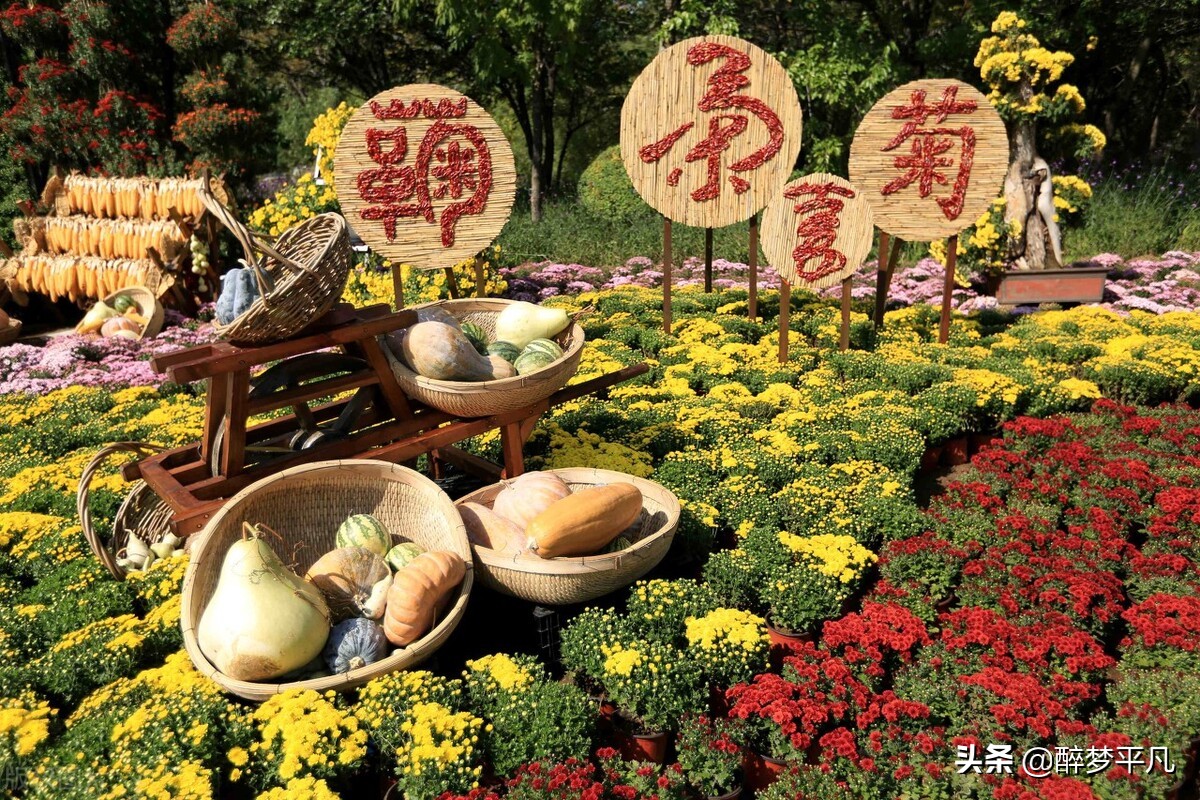 沈阳植物园沈阳世博园,沈阳世博园和植物园区别