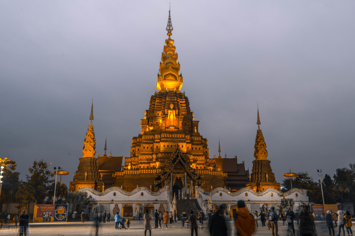 西双版纳望天树景区与热带植物园,西双版纳值得去的四个旅游景点