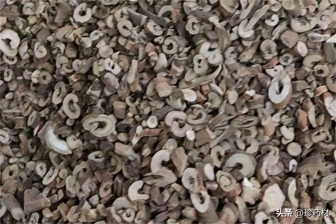 11月22日中药材市场快讯：九香虫、防己、射干、牡丹皮、肉桂等