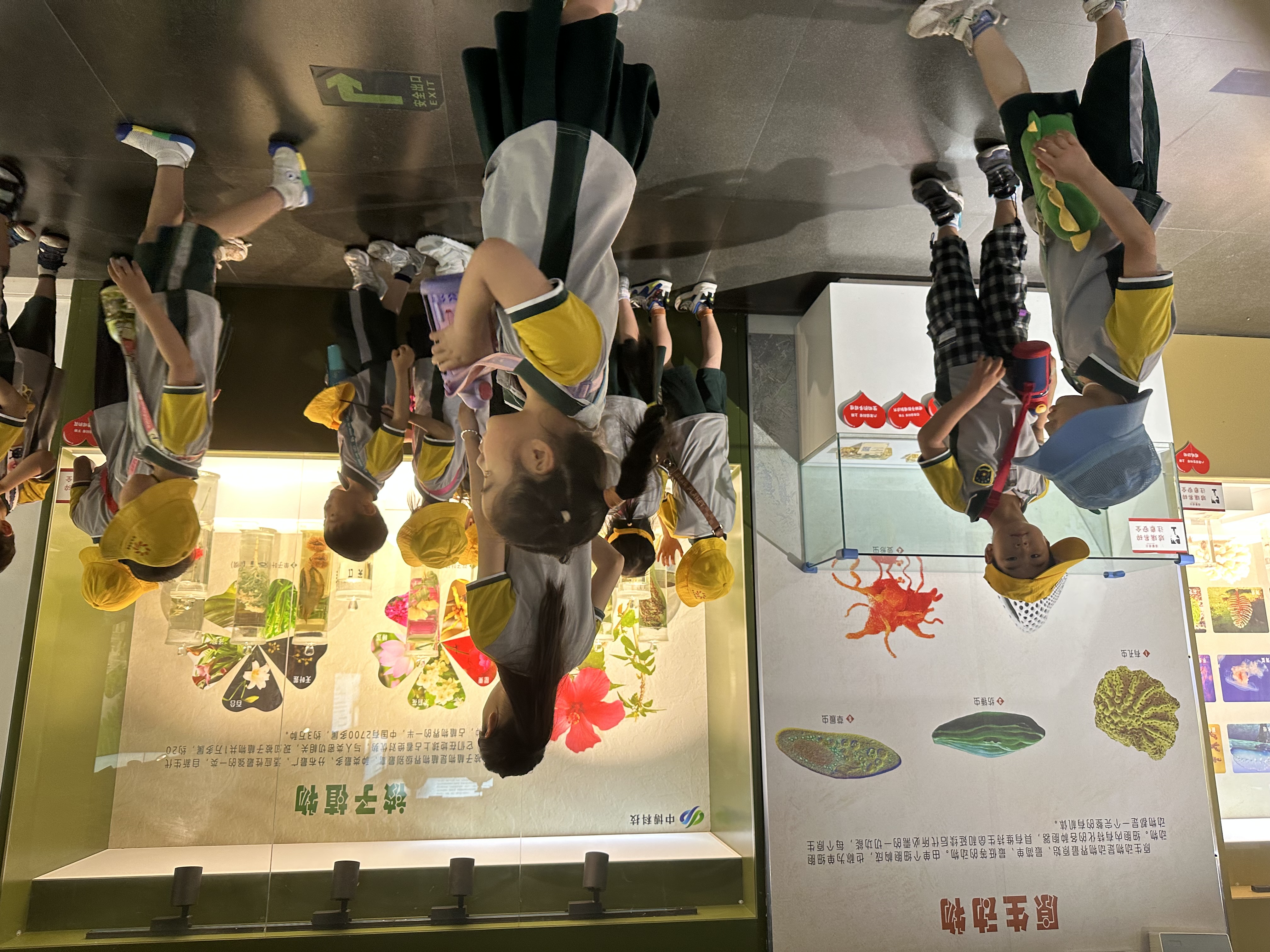 郑州夏天避暑游玩好地方,郑州夏天避暑游玩好去处