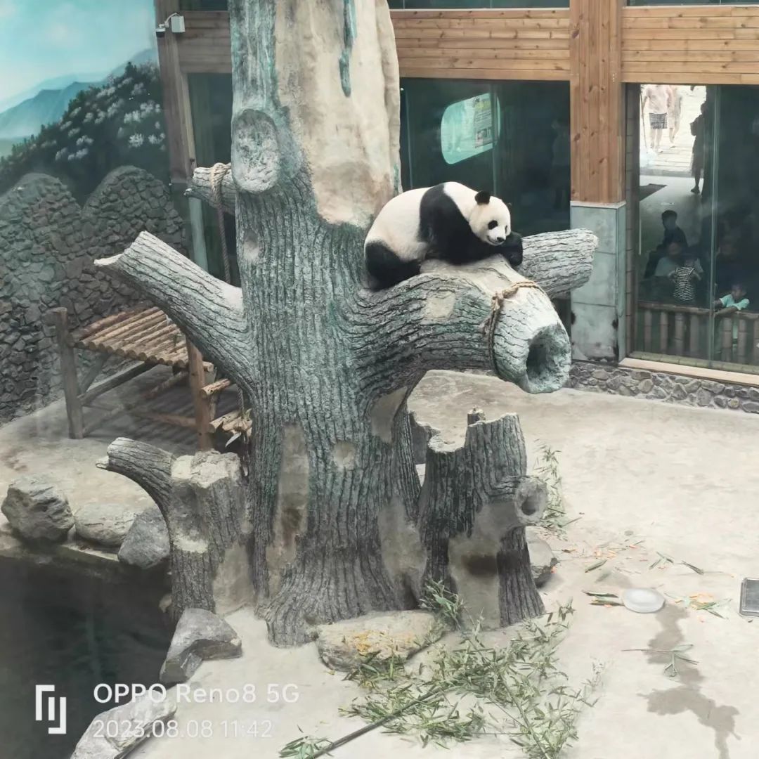 月薪2万住不起汉庭如家,月薪2万住不起汉庭如家的背后