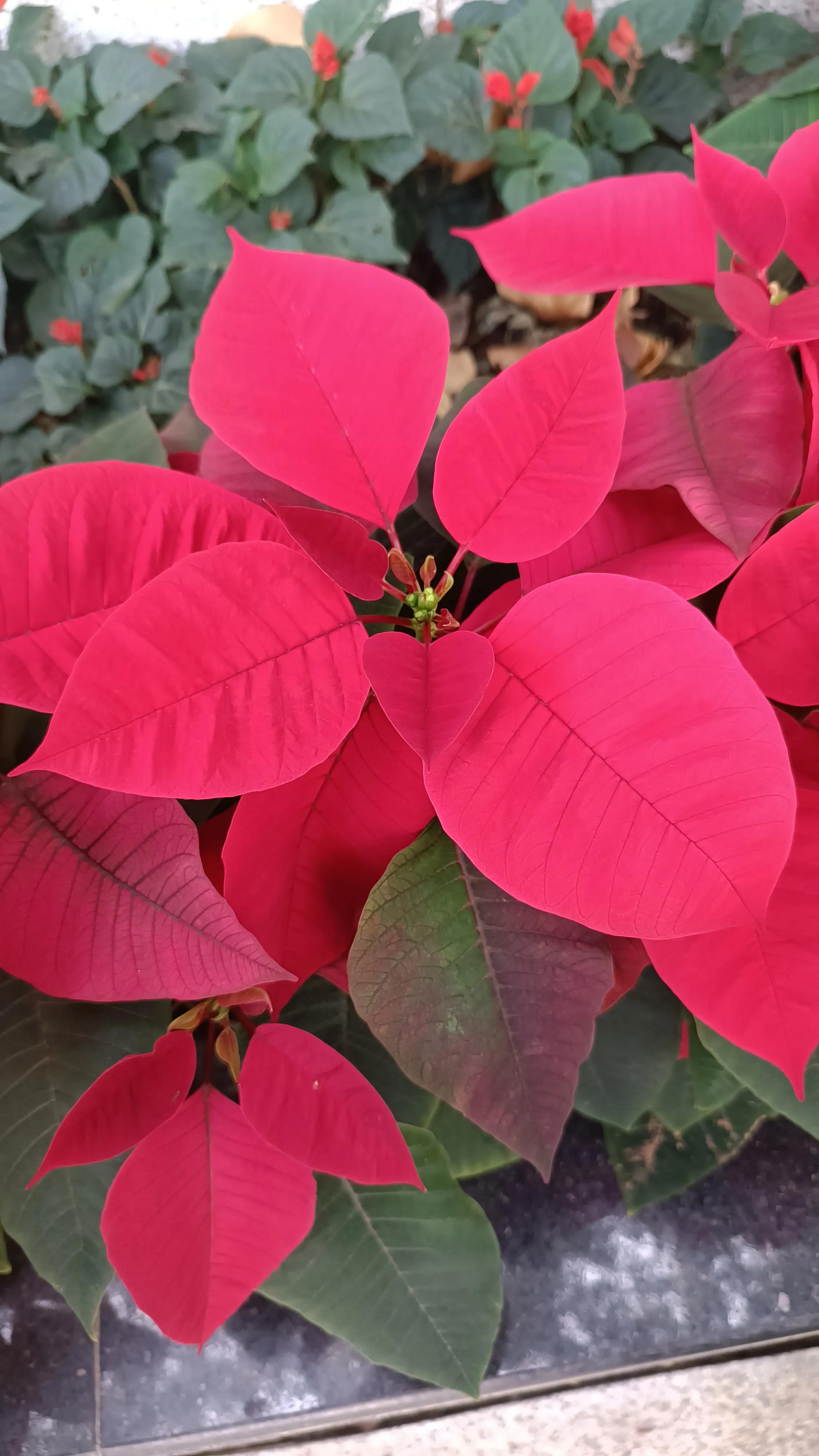 宝妈的副业每天有一份自己的收入,记录90后宝妈的副业生活