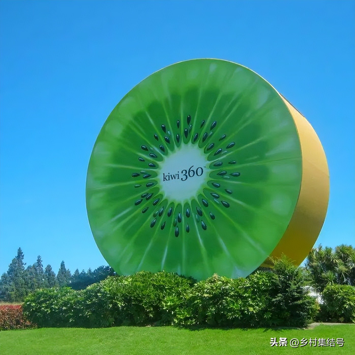 奇异果之都蒂普基地形图,新西兰奇异果小镇蒂普基