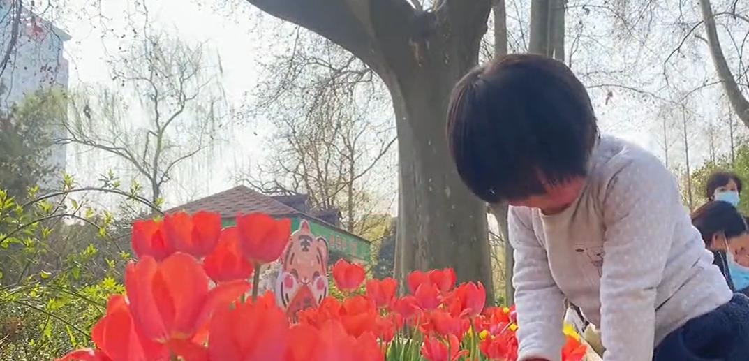 郑州七月份适合带孩子去哪旅游,郑州周边五一适合去哪旅游带孩子