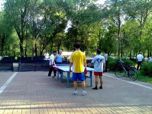 让人惊心动魄的一场乒乓球比赛,一场没赢乒乓球比赛收获了什么