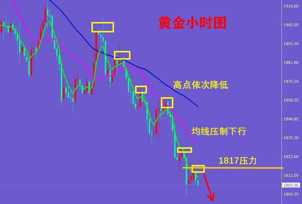 今日黄金大盘反弹,白盘黄金行情走势
