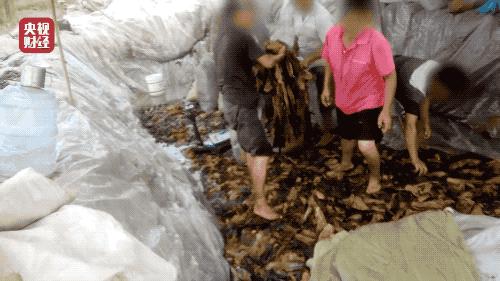 老坛酸菜面315事件制作视频,凌晨饭店着火