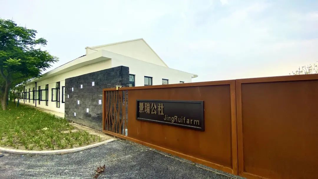 上海市首批市级旅游重点村,上海第四批全国乡村旅游重点村