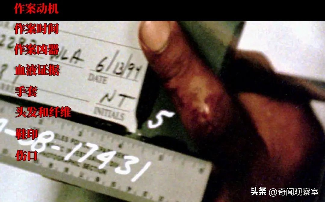 辛普森案真相解析,辛普森案真相解密