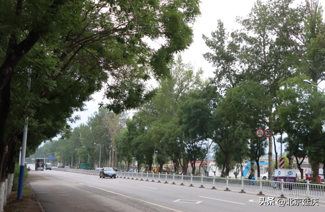 延庆米黄路,延庆米黄路加宽扩建项目