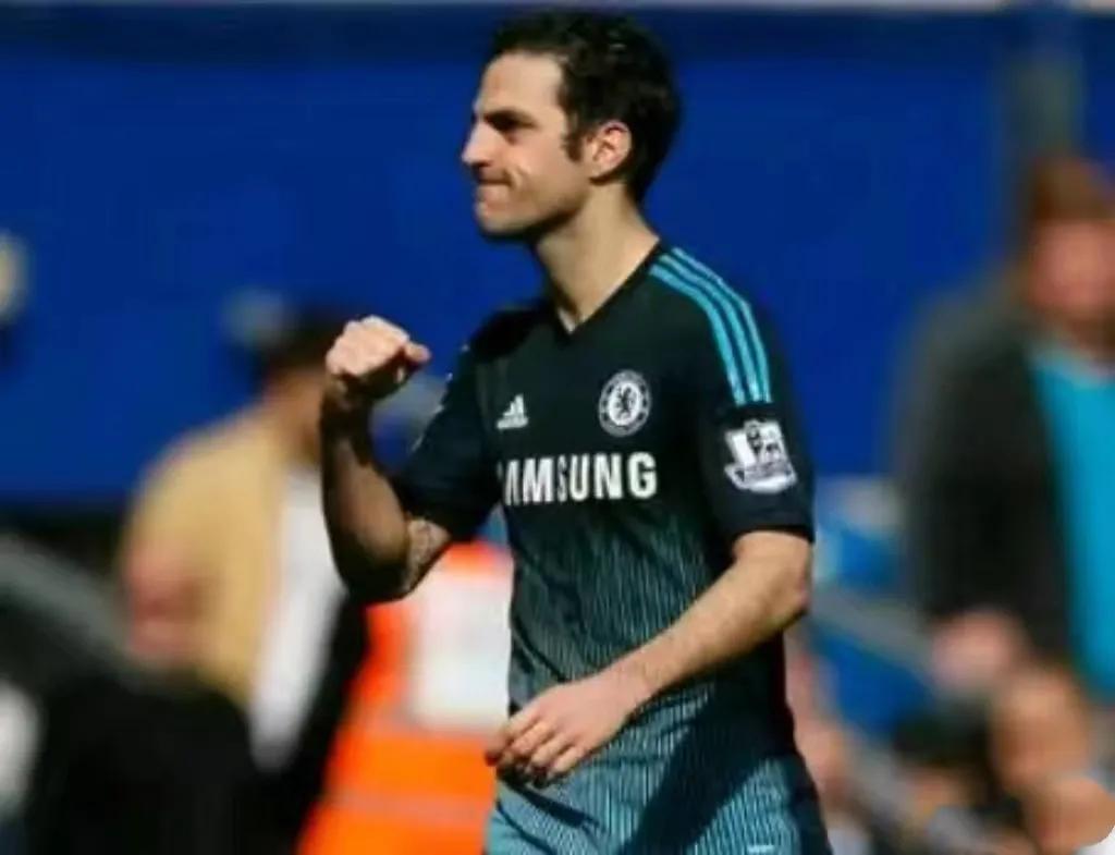 塞斯克法布雷加斯,弗朗塞斯克法布雷加斯