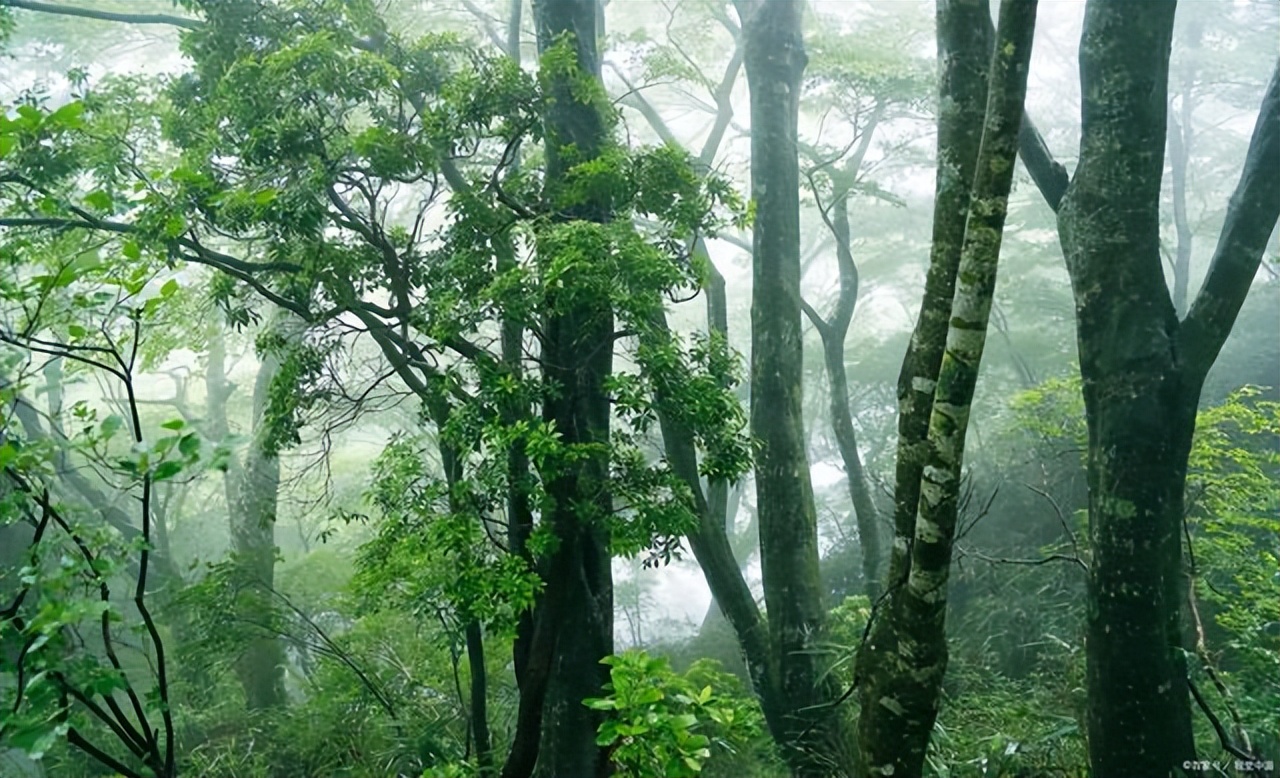 康养旅游行业的问题,康养旅游为什么这么火