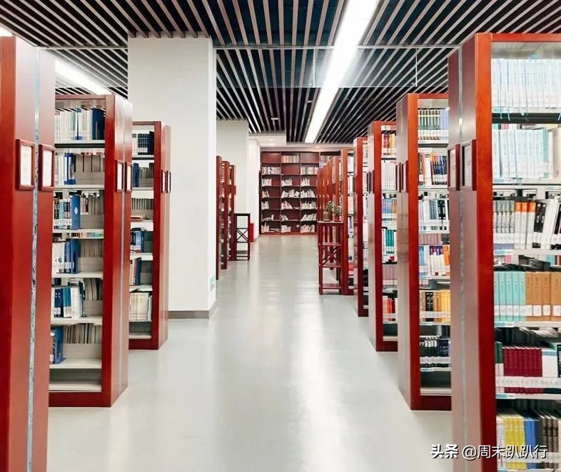 图书馆遛娃避暑好去处,图书馆夏天遛娃好地方