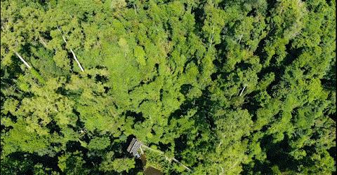 景洪夜景最好的地方,景洪边境是在什么地方