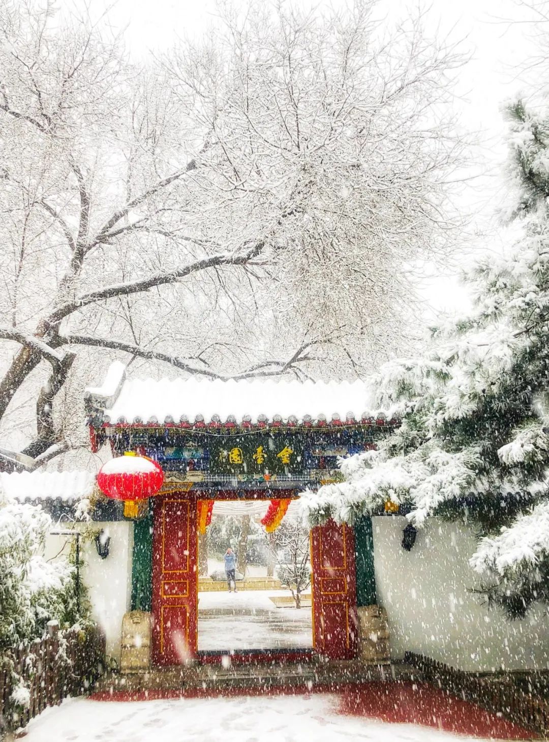 美丽的人民日报大院，我们温暖的家