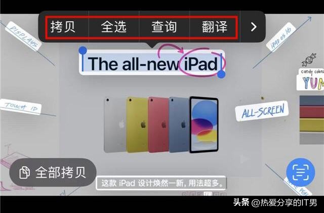 苹果实况文本功能怎么设置,苹果ios15新功能实况图片提取文字