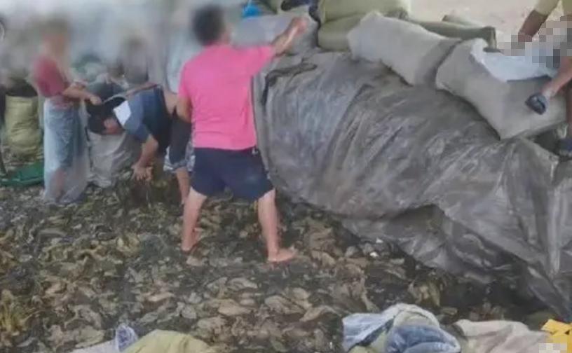 一夜蒸发数亿人民币,康师傅变成“糠师傅”,严钦武后悔已晚