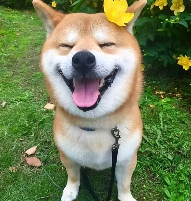 无聊的句子说说心情搞笑,一个人无聊发朋友圈深奥的句子