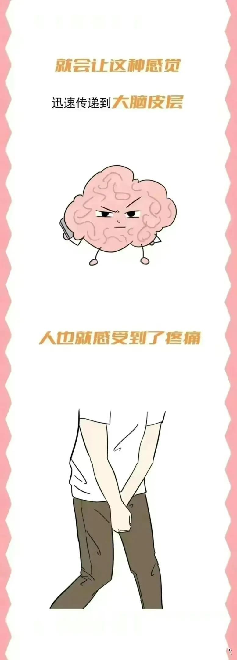 “女生被踢中裆部”VS“男生被踢中裆部”，谁会更严重？不妨了解