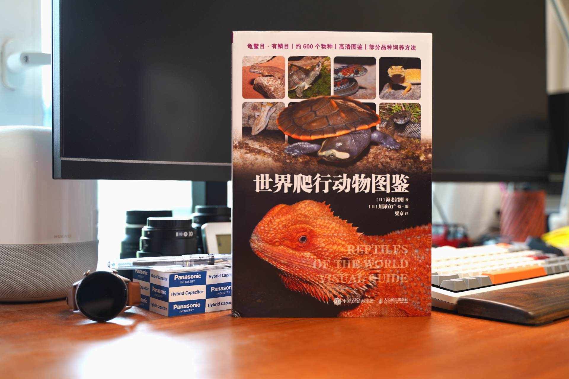 爬行动物世界动物园,世界爬行动物图鉴最新