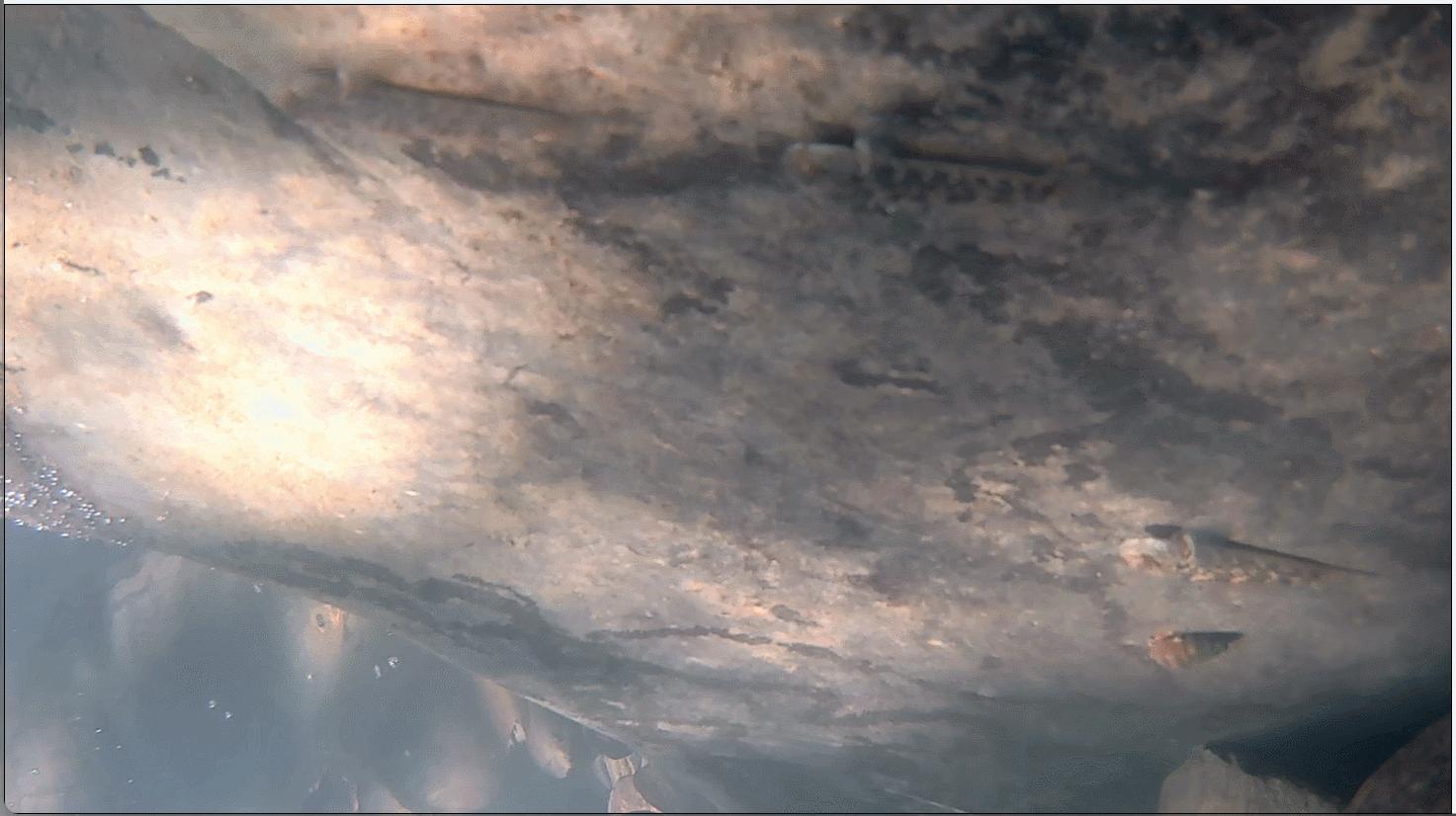 运动相机配件推荐,2023运动相机最值得买哪一款