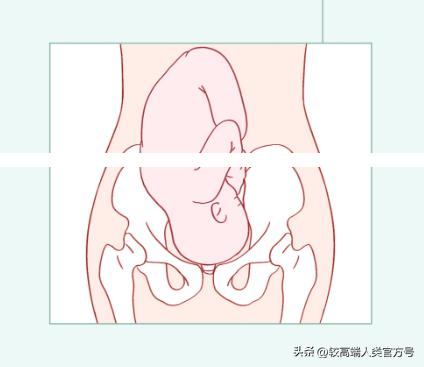 女生身体指标不正常有哪些,女生身体真的很脆弱吗