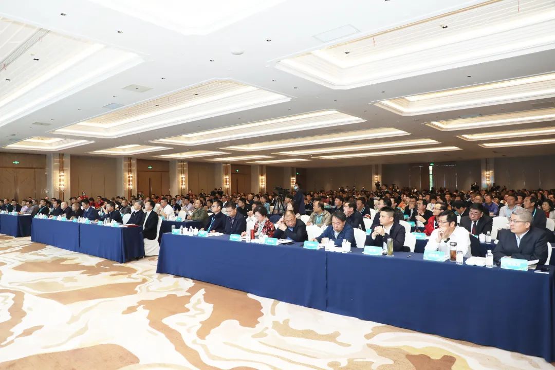 枝江肉牛产业发展,中国肉牛产业规划