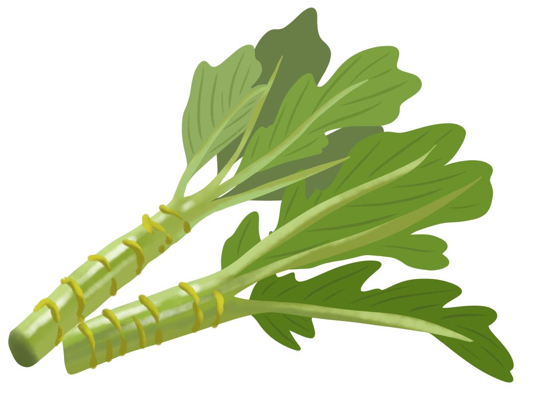 注意！这5种春菜要当心！吃对是美味，吃错是“毒药”