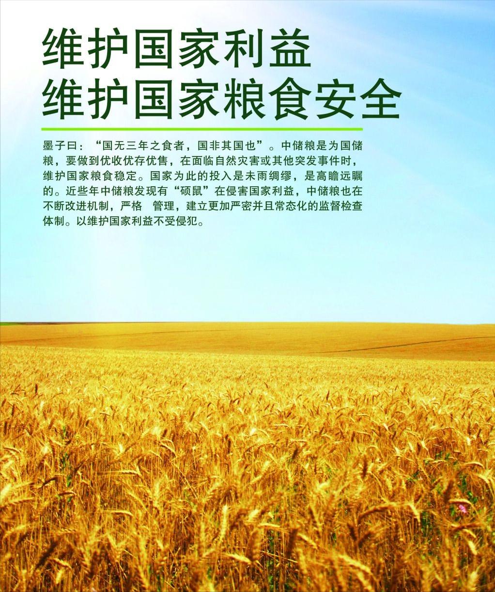 中储粮和四大粮商记录,中储粮事件最新