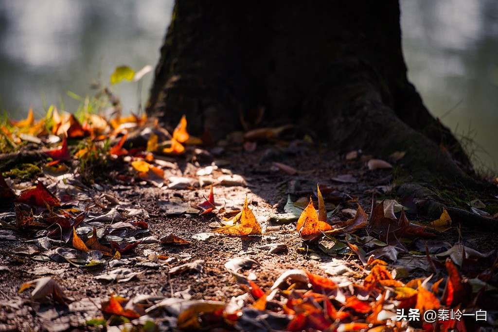 初唐四杰卢照邻的诗,初唐四杰卢照邻