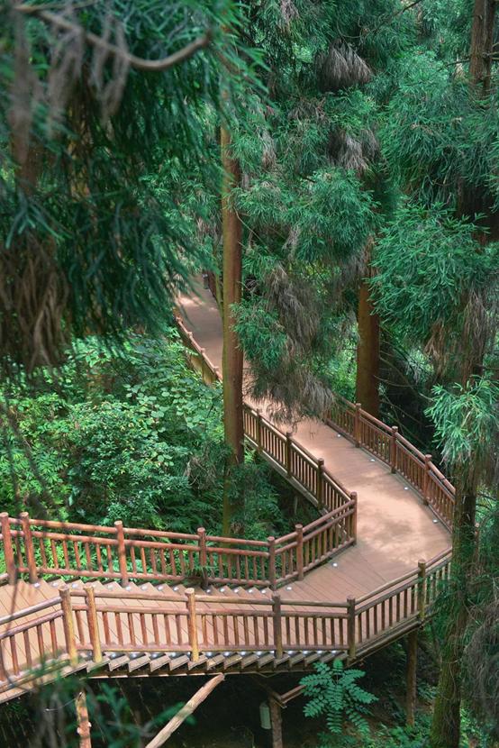 眉山避暑度假康养避寒小镇,眉山七里坪旅游风景区