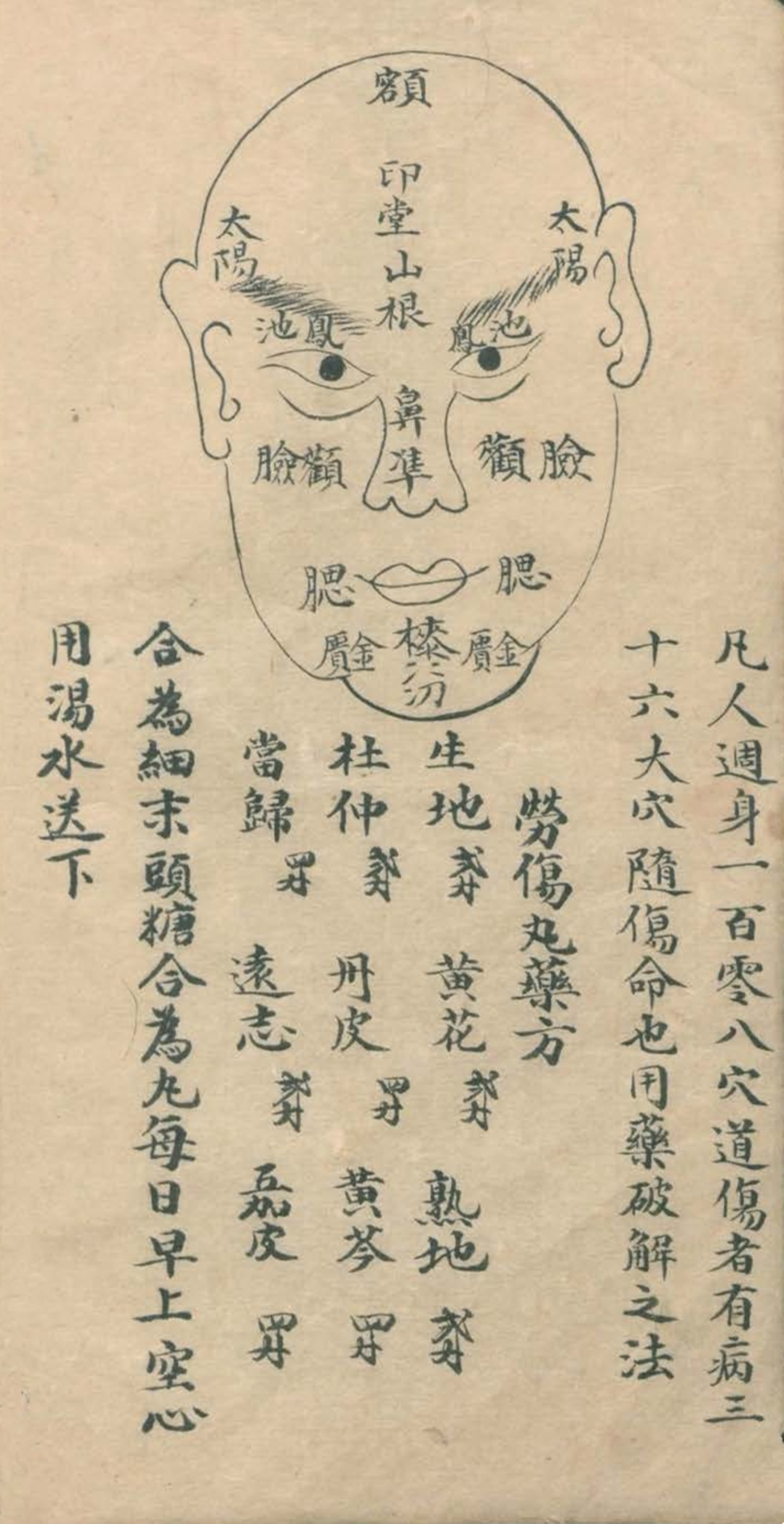 最实用的跌打药方,祖传跌打秘方100首