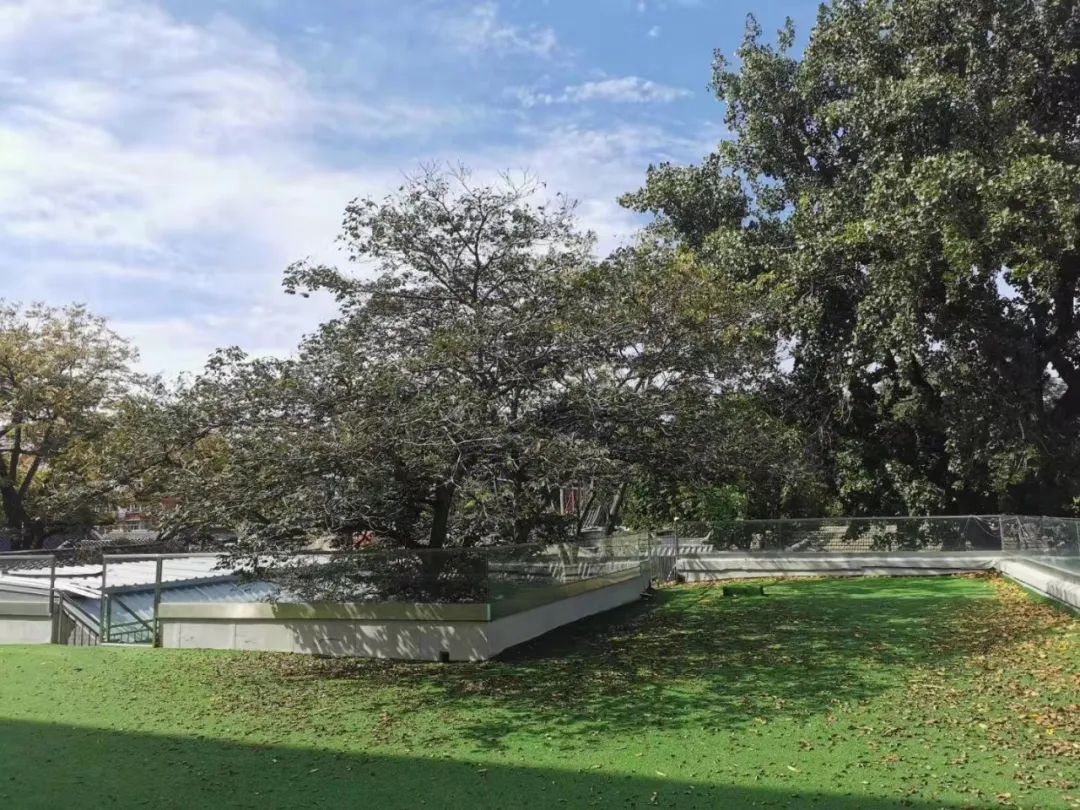 北京过亿的四合院,北京最好的四合院值多少钱