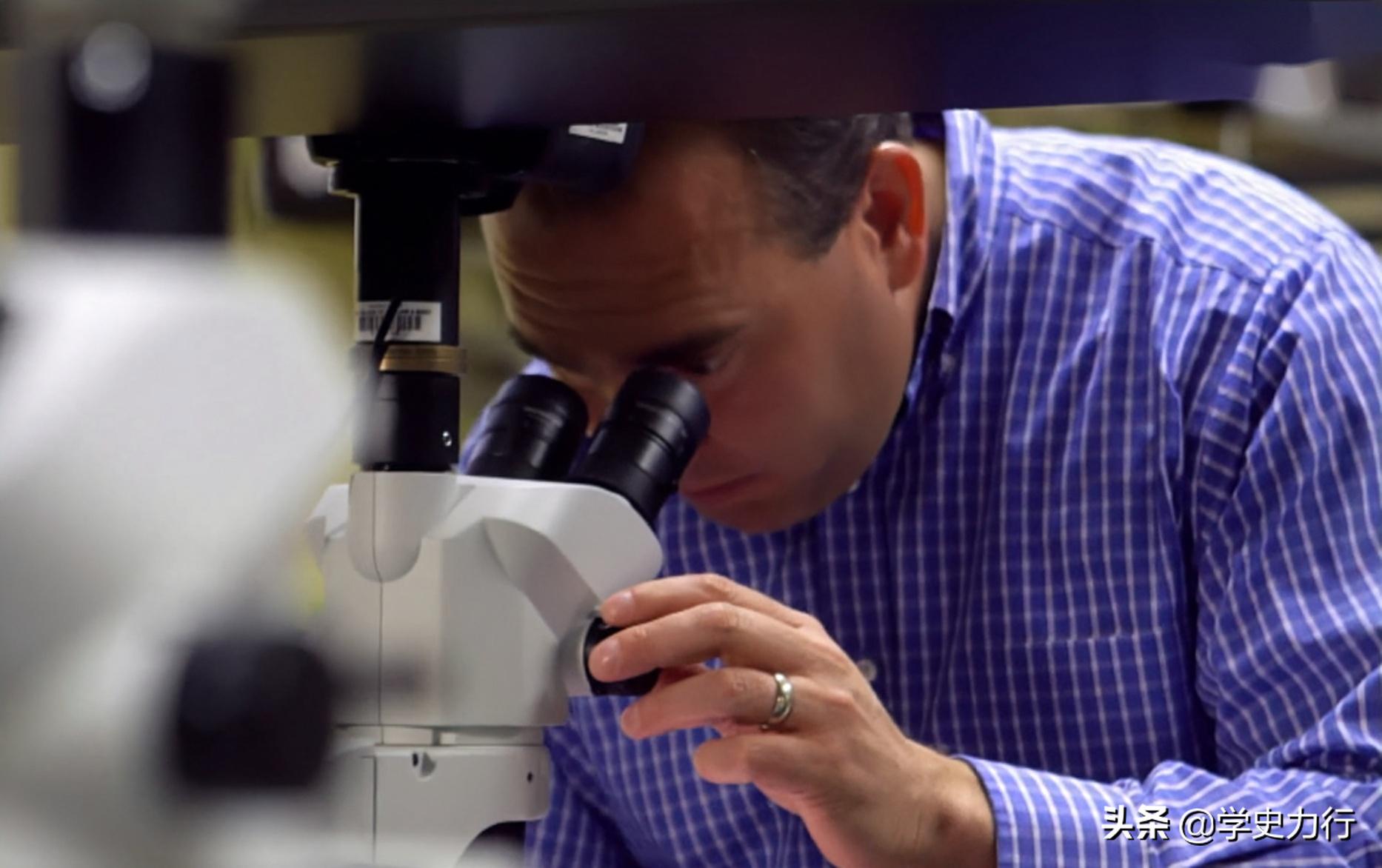 2011年，美国生物学教授感觉嘴里有异物，取出后发现是条罕见虫子