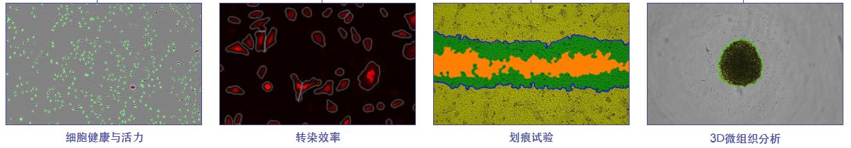 实时活细胞成像系统,perkinelmer铂金埃尔默名字的由来