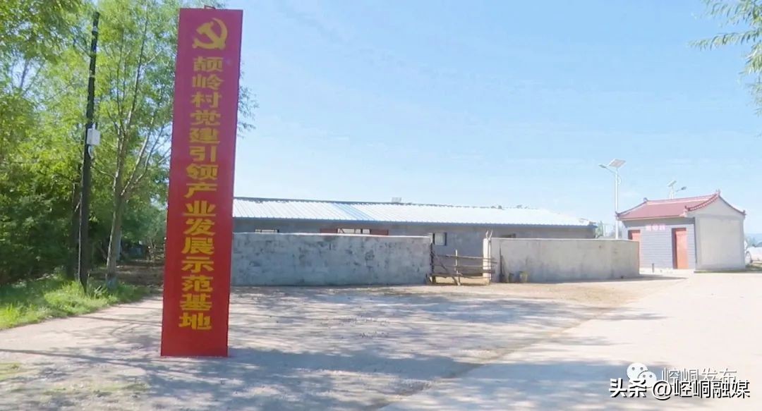 “我们这十年”丨崆峒：“畜”势勃发“牧”歌欢唱