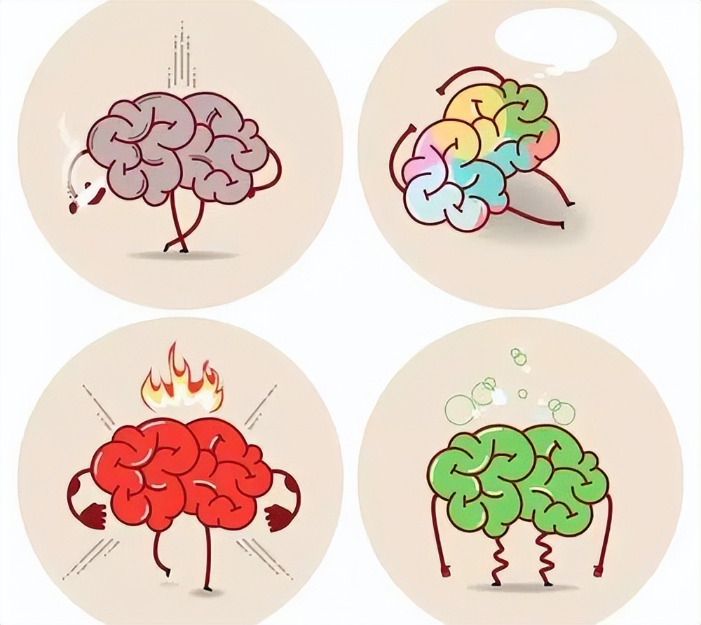 人有三个大脑是什么样的,三个大脑理论