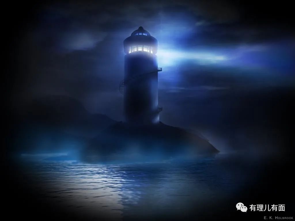 匈牙利国鸟大鸨鸟,匈牙利作为欧盟中的特立独行者